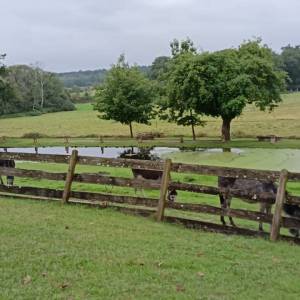 IMG-20240914-WA0009_original